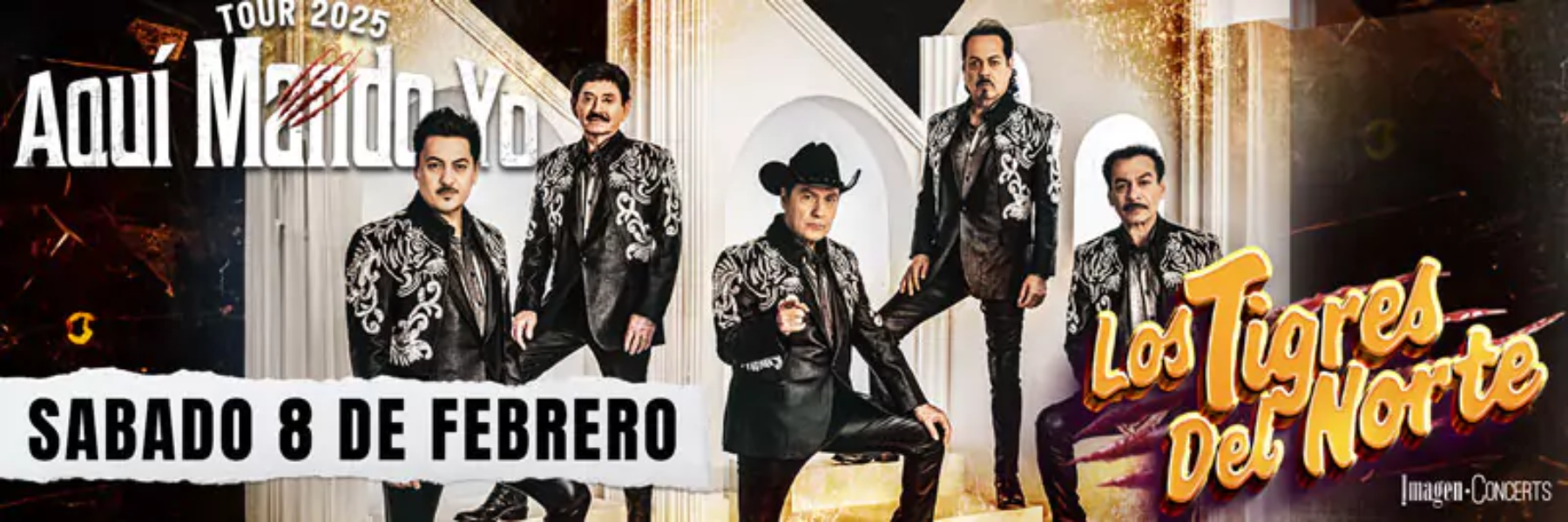 tigres-del-norte-houston-2025-banner